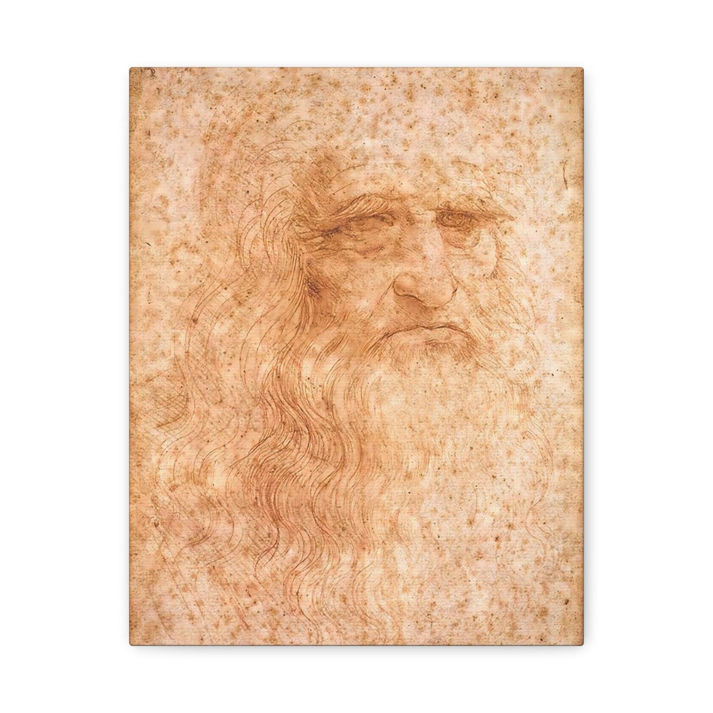 Man in Red Chalk By Leonardo da Vinci