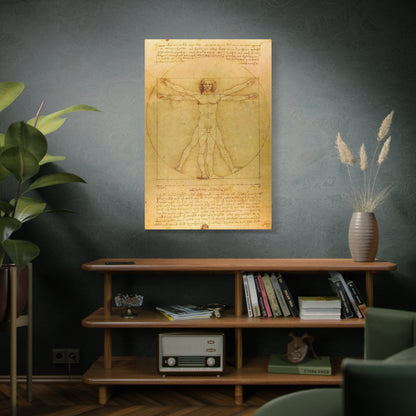 Vitruvian Man By Leonardo da Vinci