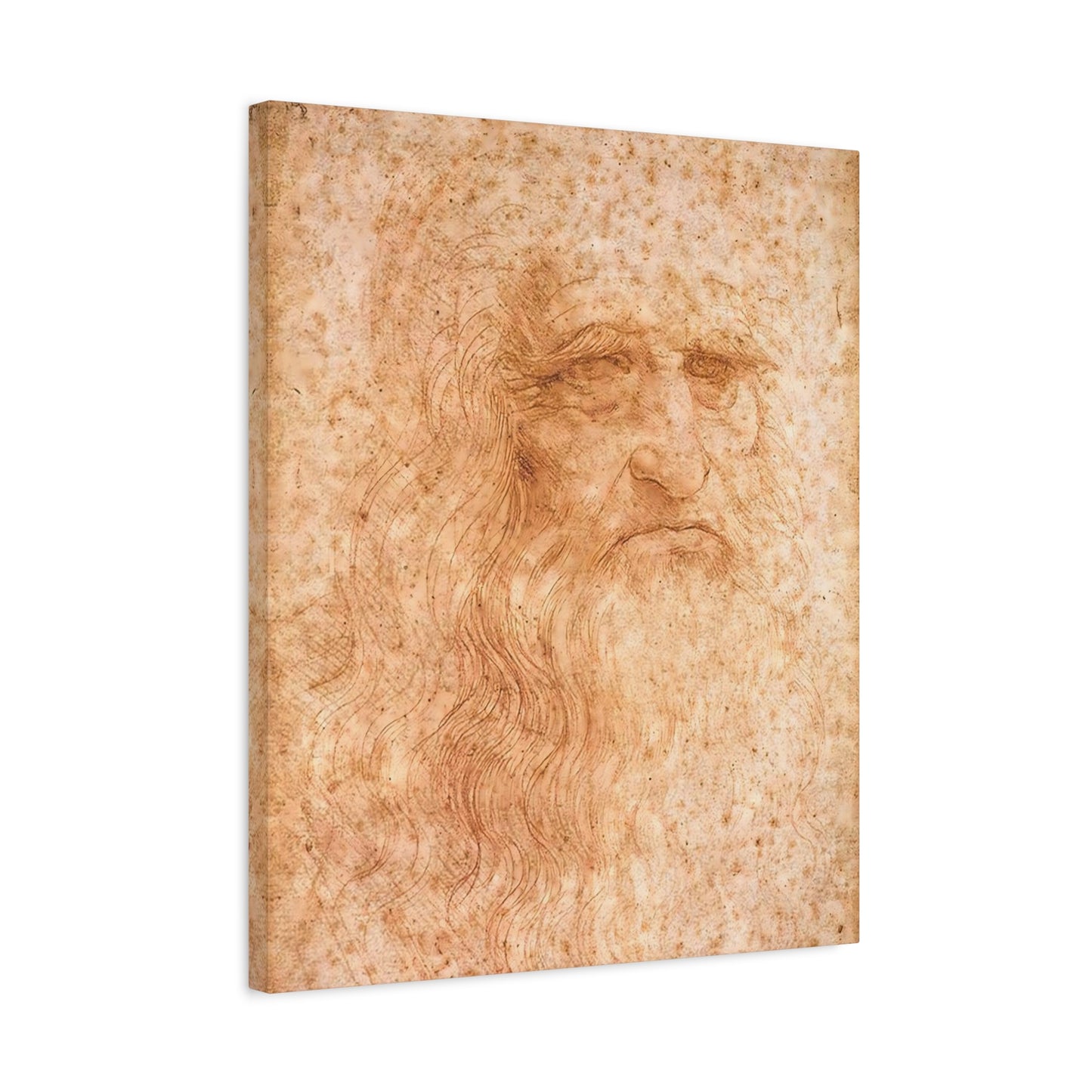 Man in Red Chalk By Leonardo da Vinci