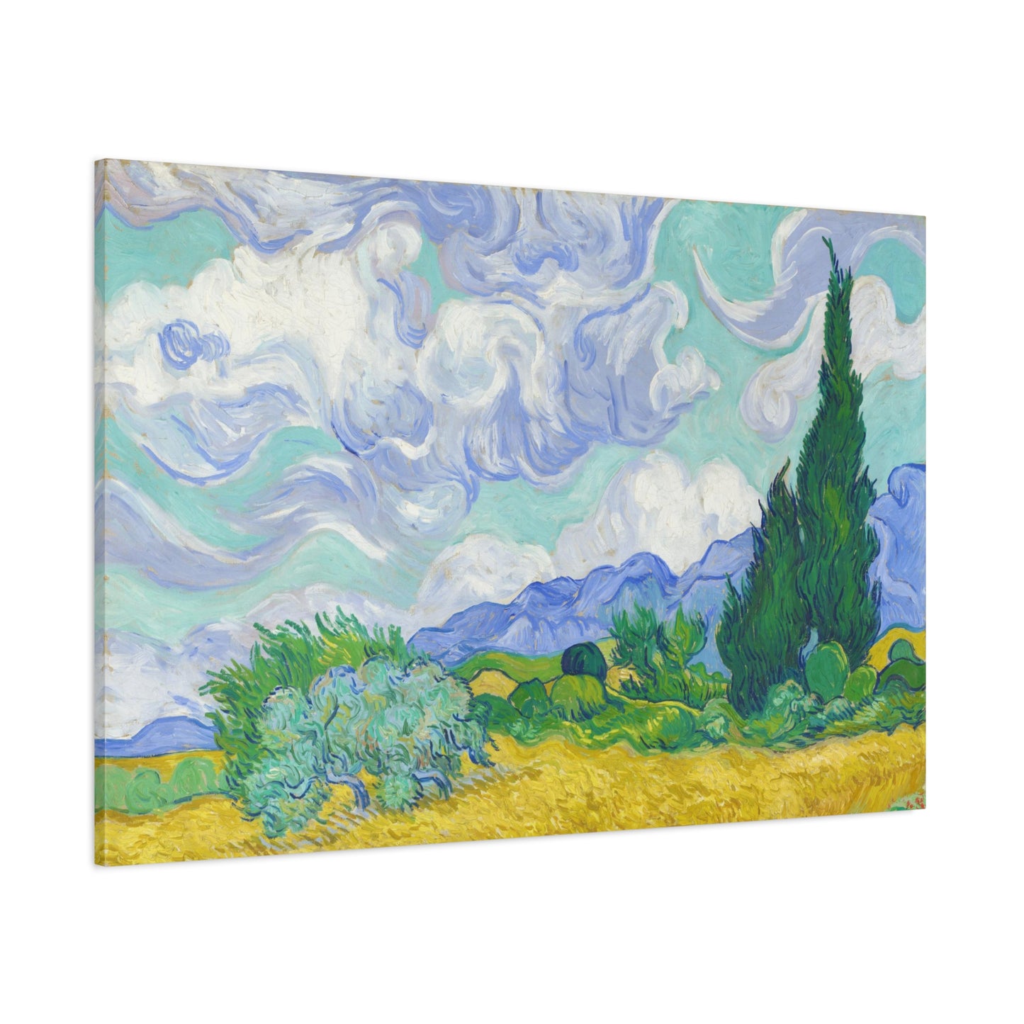 Cypresses By Vincent van Gogh