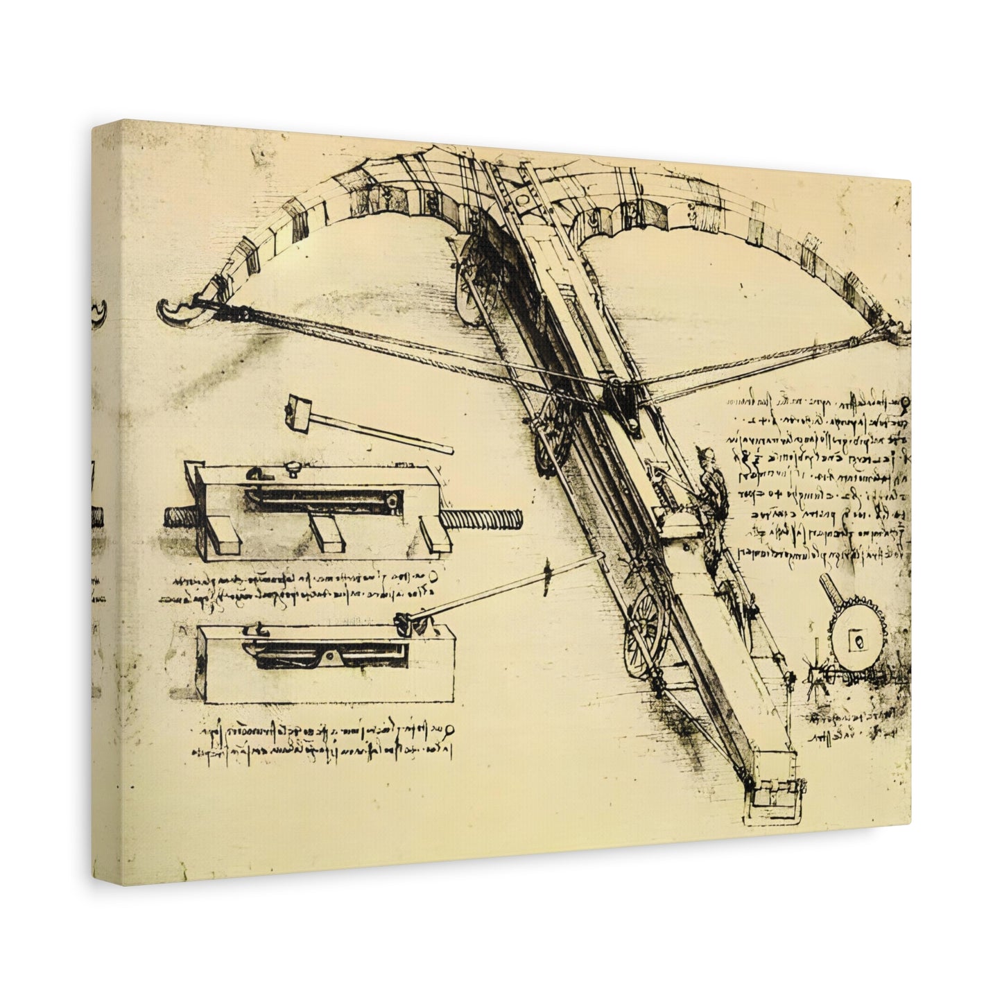 Design for a Giant Crossbow By Leonardo da Vinci