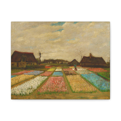 Bulb Fields By Vincent van Gogh