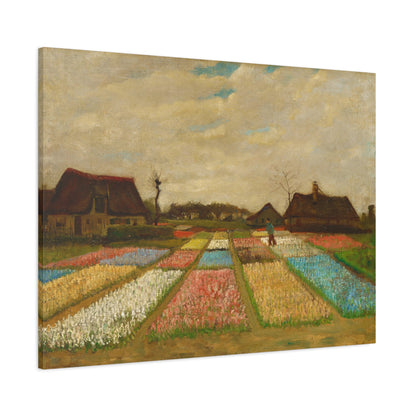 Bulb Fields By Vincent van Gogh