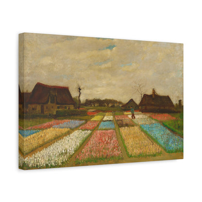 Bulb Fields By Vincent van Gogh