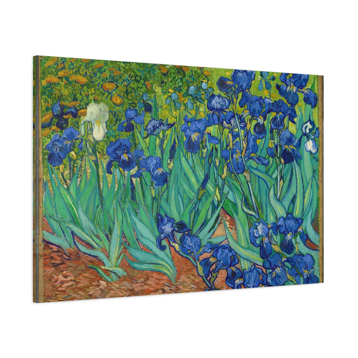 Irises By Vincent van Gogh