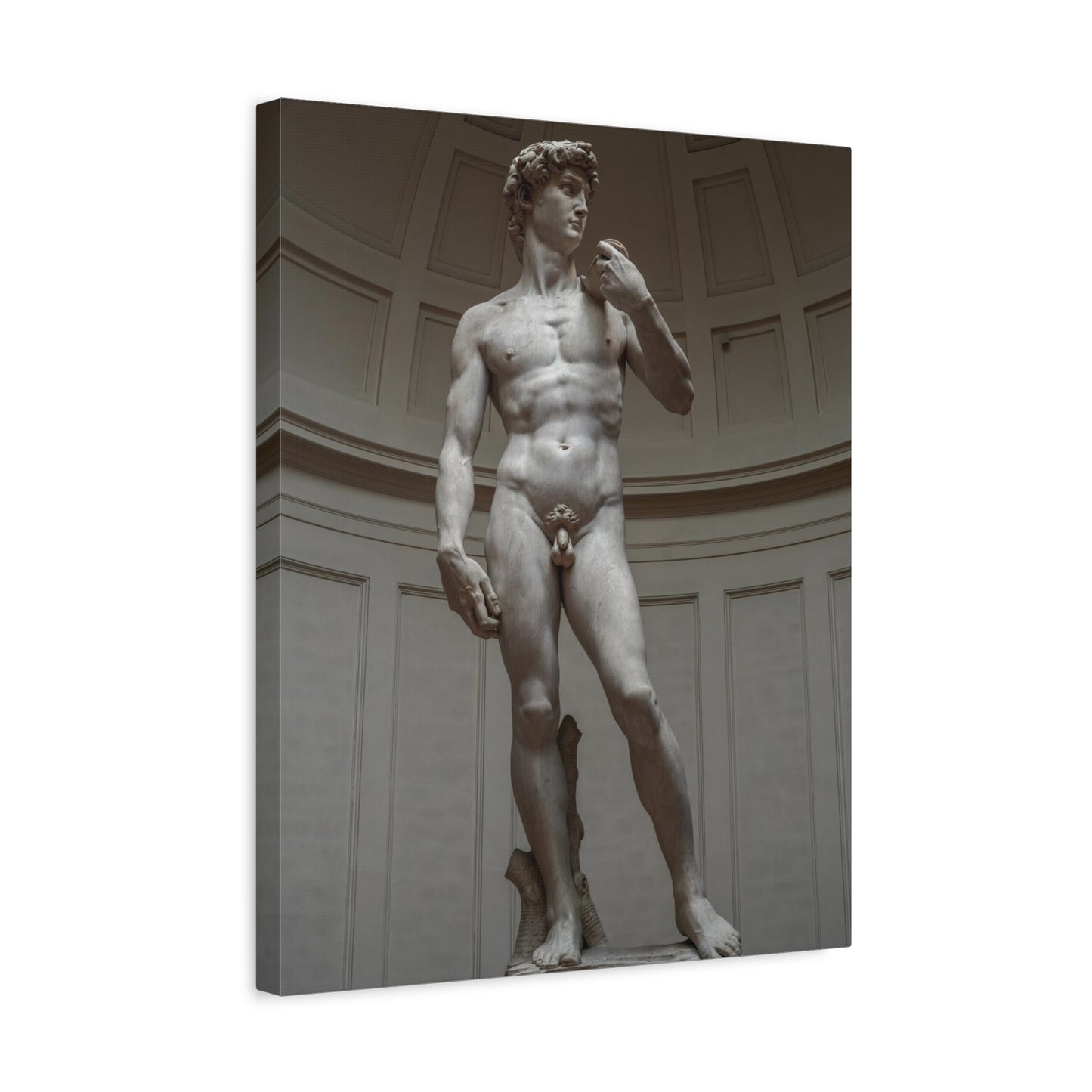 David By Michelangelo