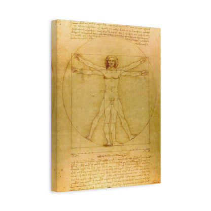 Vitruvian Man By Leonardo da Vinci