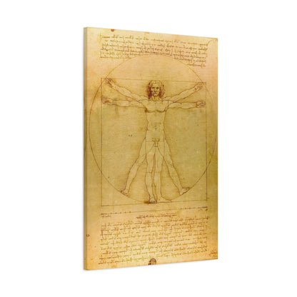 Vitruvian Man By Leonardo da Vinci