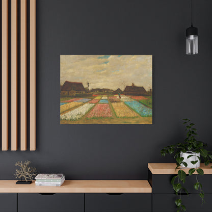 Bulb Fields By Vincent van Gogh