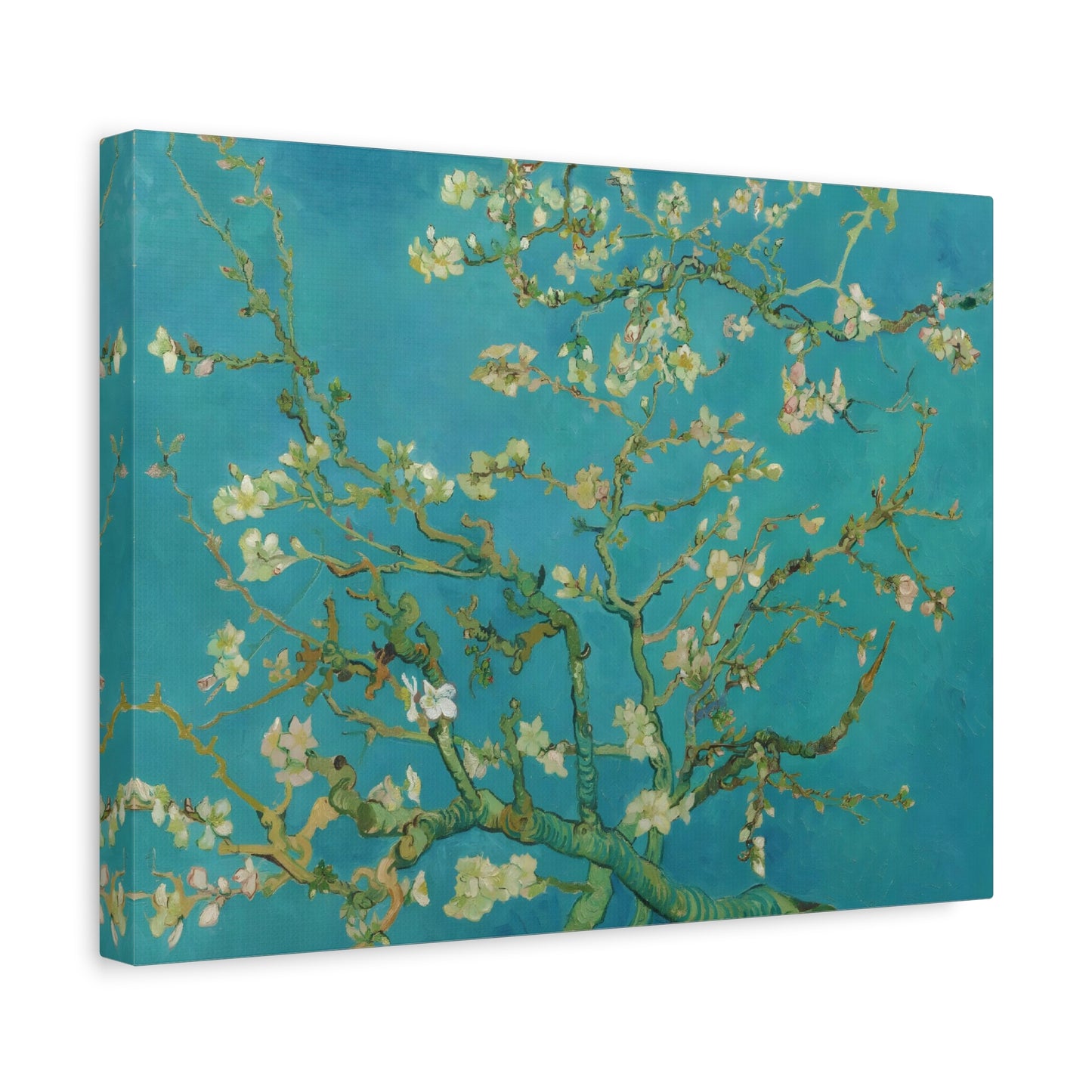 Almond Blossoms By Vincent van Gogh