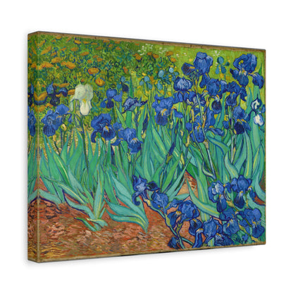 Irises By Vincent van Gogh