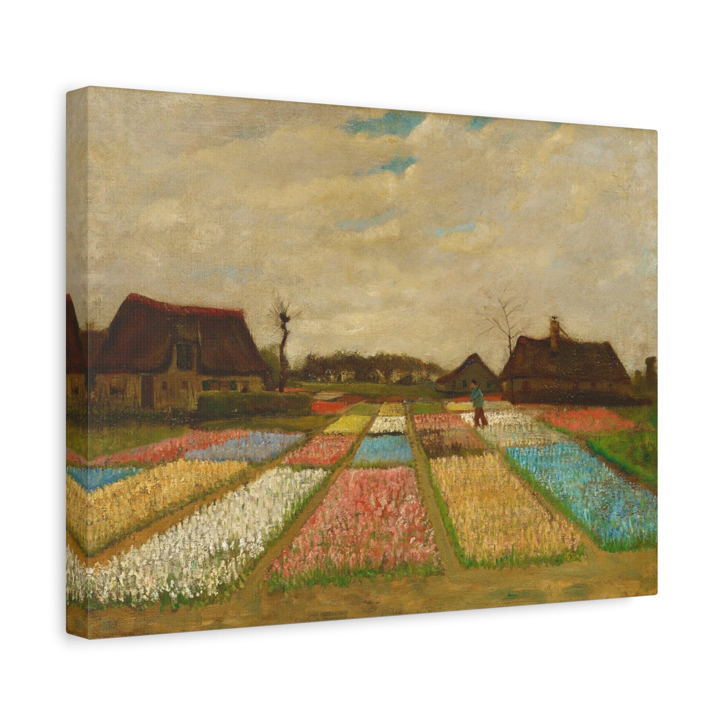 Bulb Fields By Vincent van Gogh