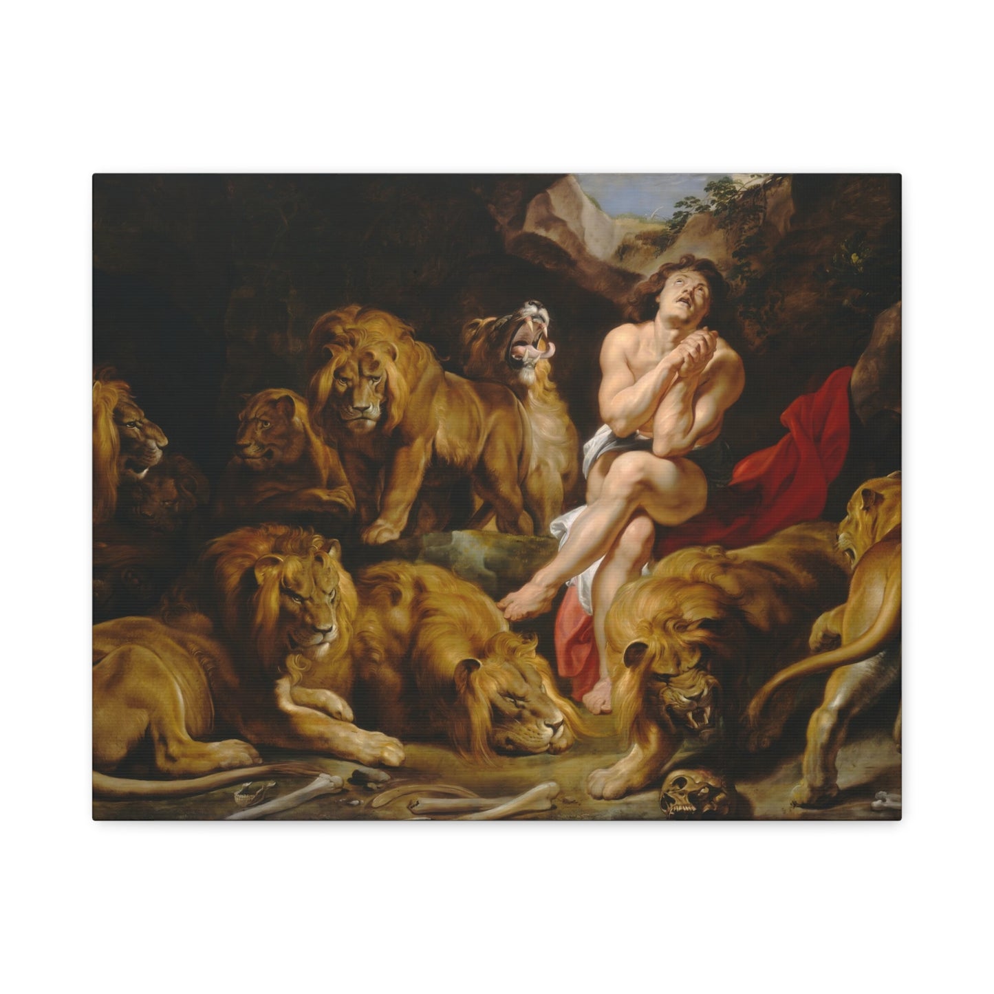 Daniel in the Lions' Den By Peter Paul Rubens