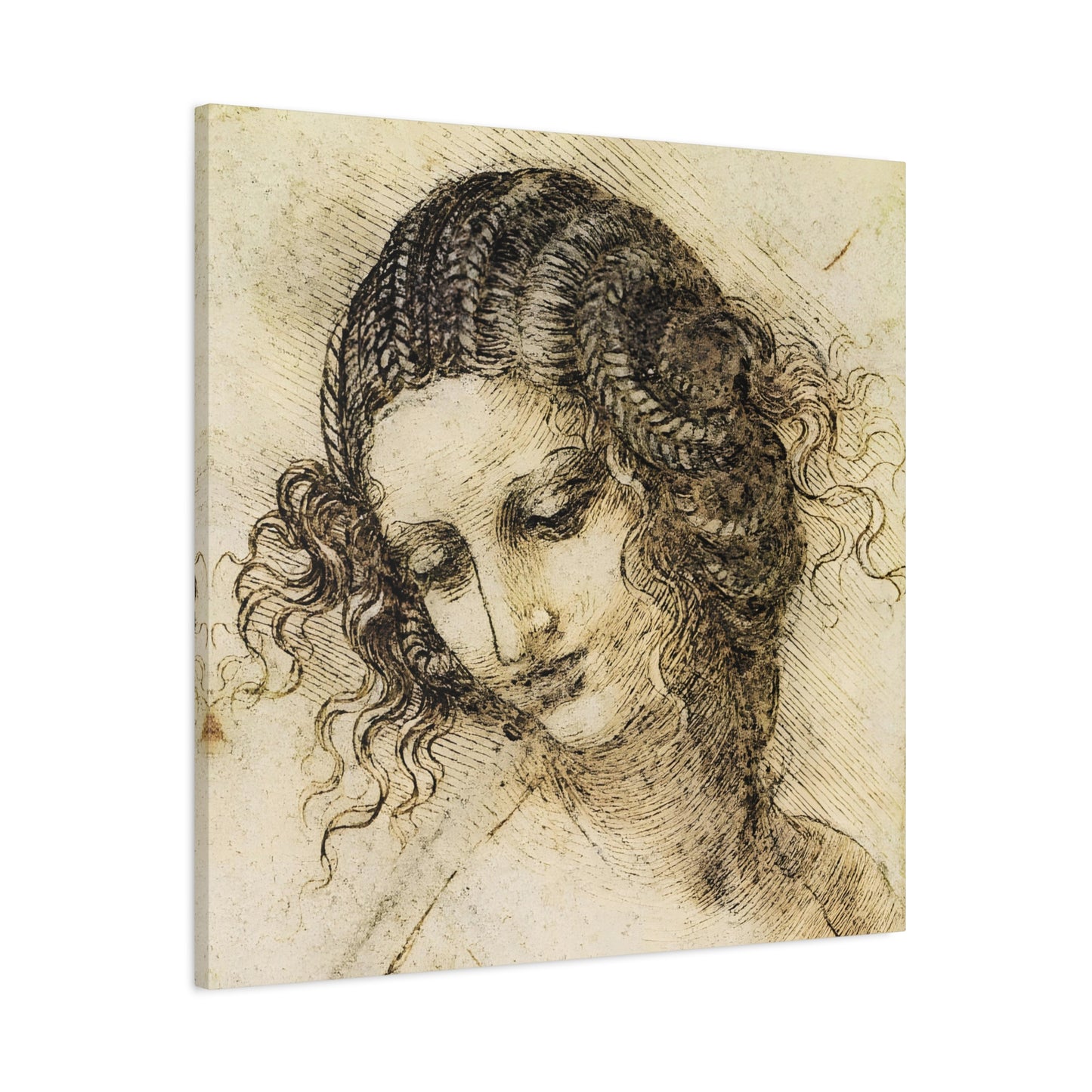 Study for the Head of Leda By Leonardo da Vinci