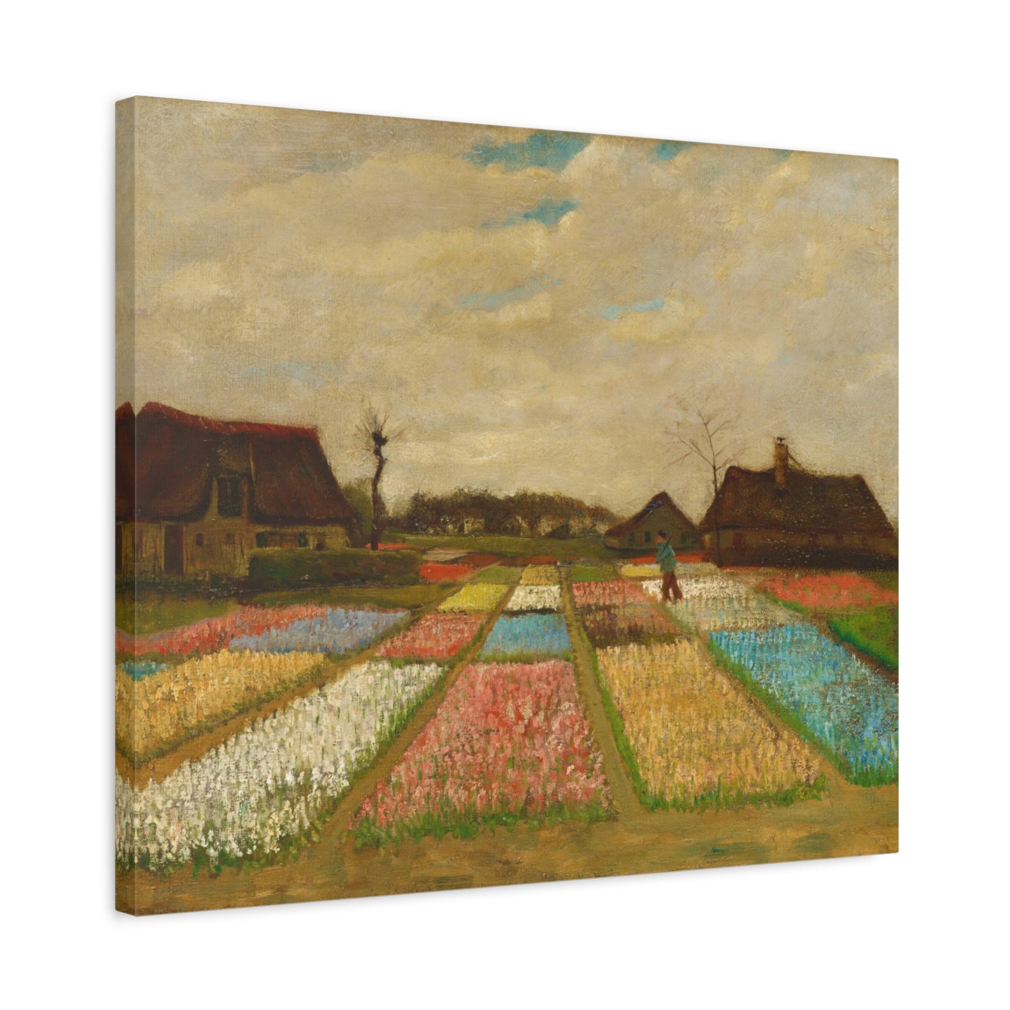 Bulb Fields By Vincent van Gogh