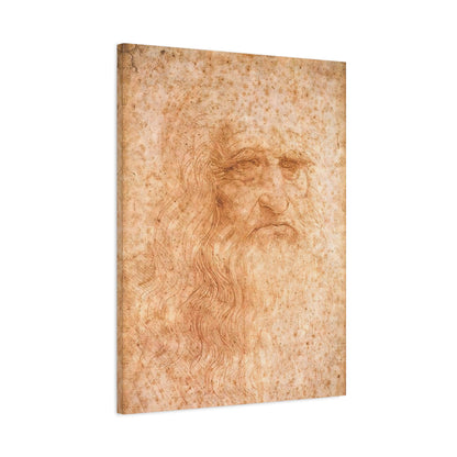 Man in Red Chalk By Leonardo da Vinci