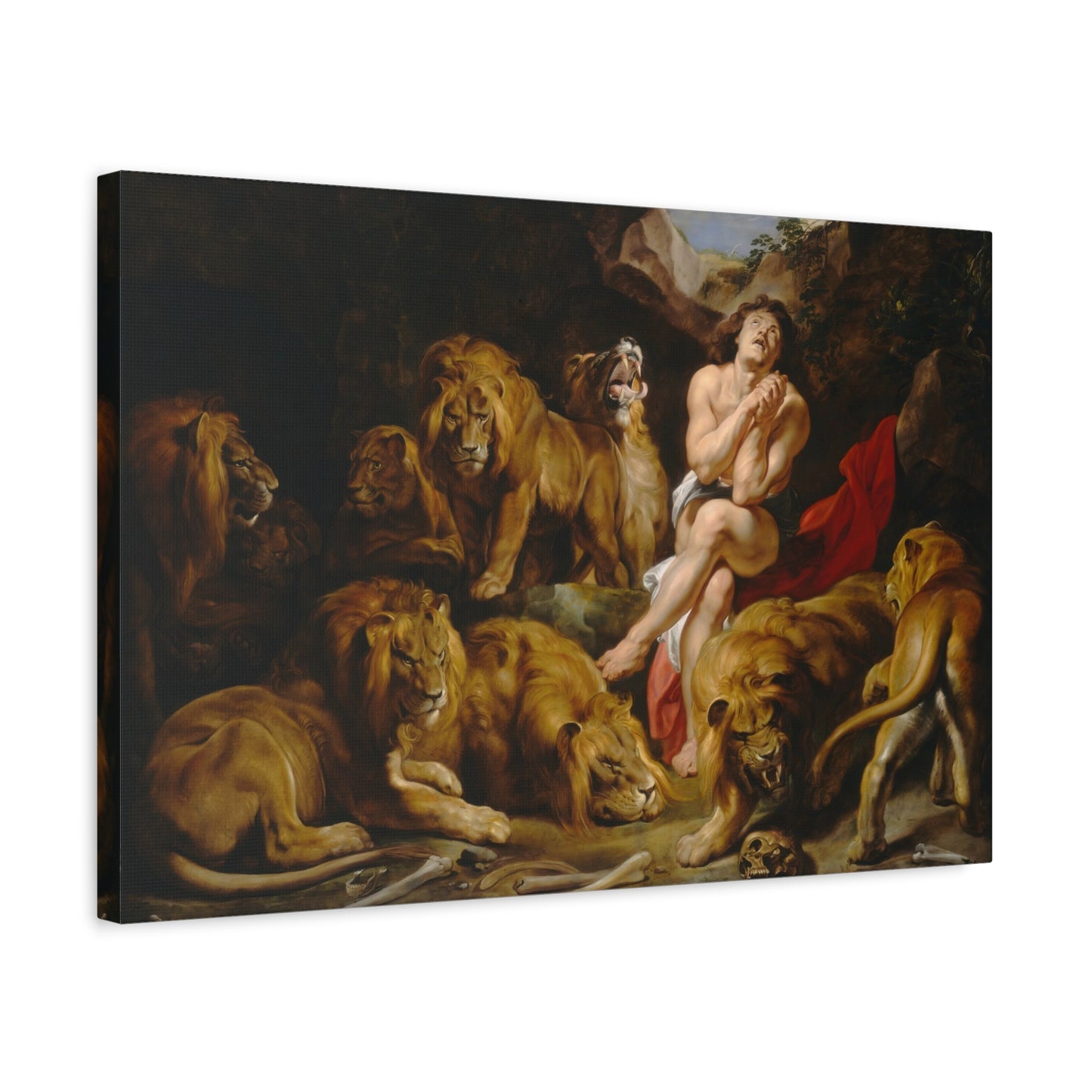 Daniel in the Lions' Den By Peter Paul Rubens