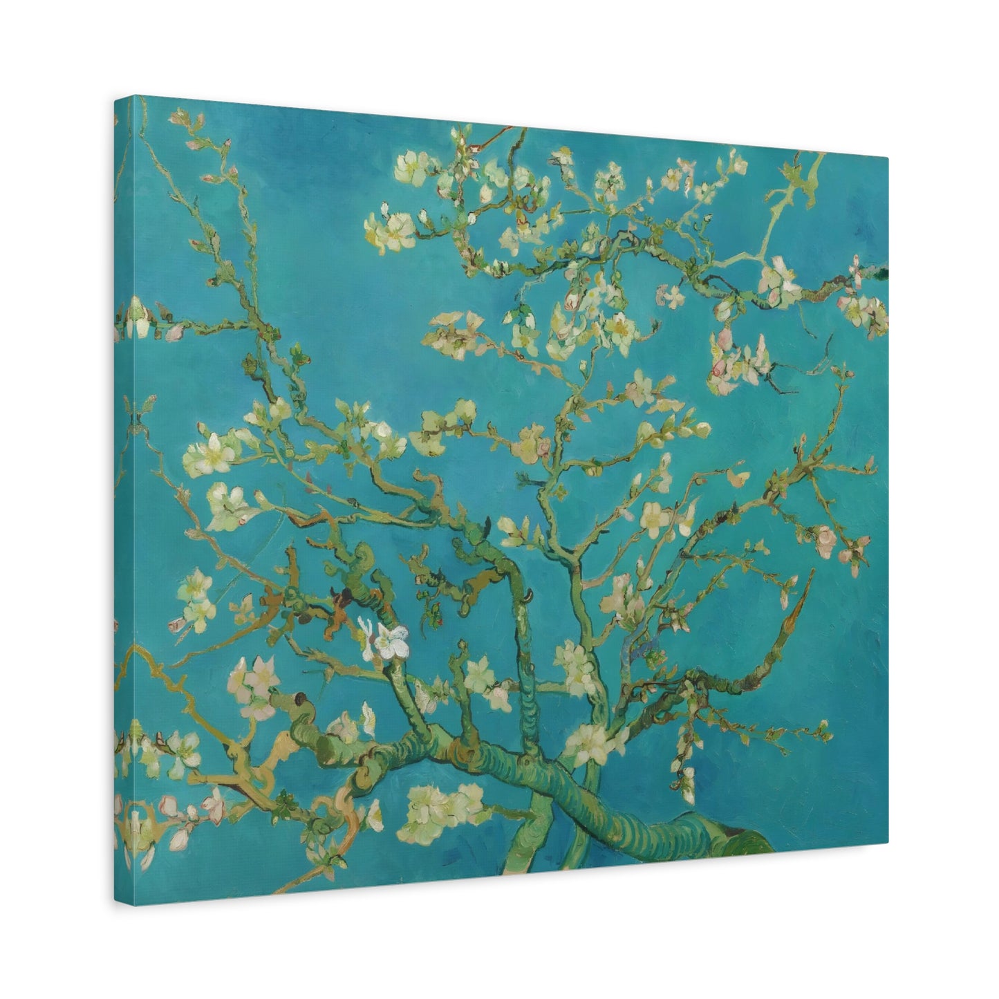 Almond Blossoms By Vincent van Gogh