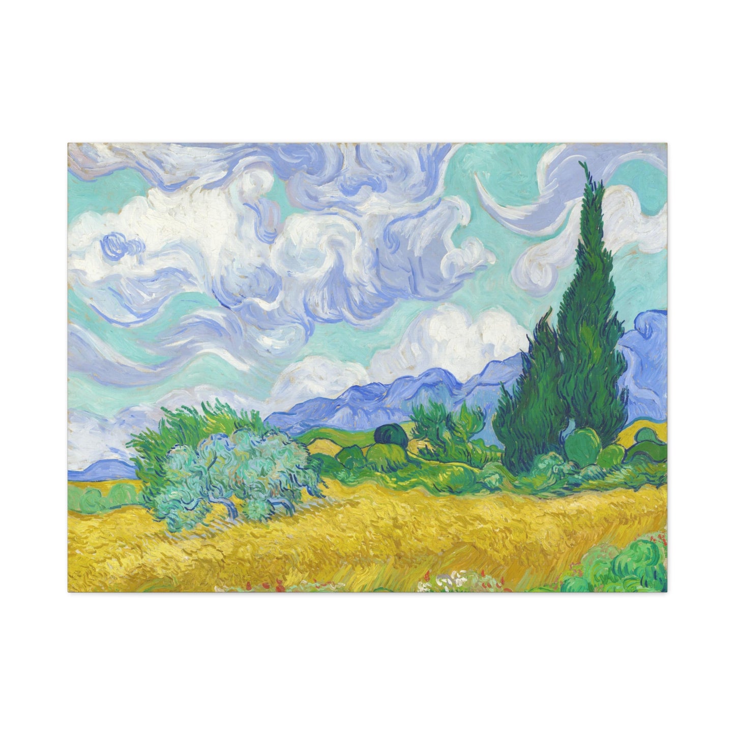 Cypresses By Vincent van Gogh