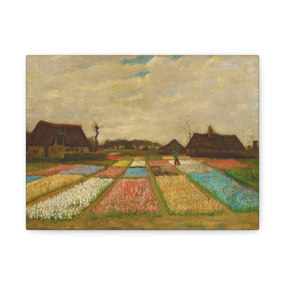 Bulb Fields By Vincent van Gogh