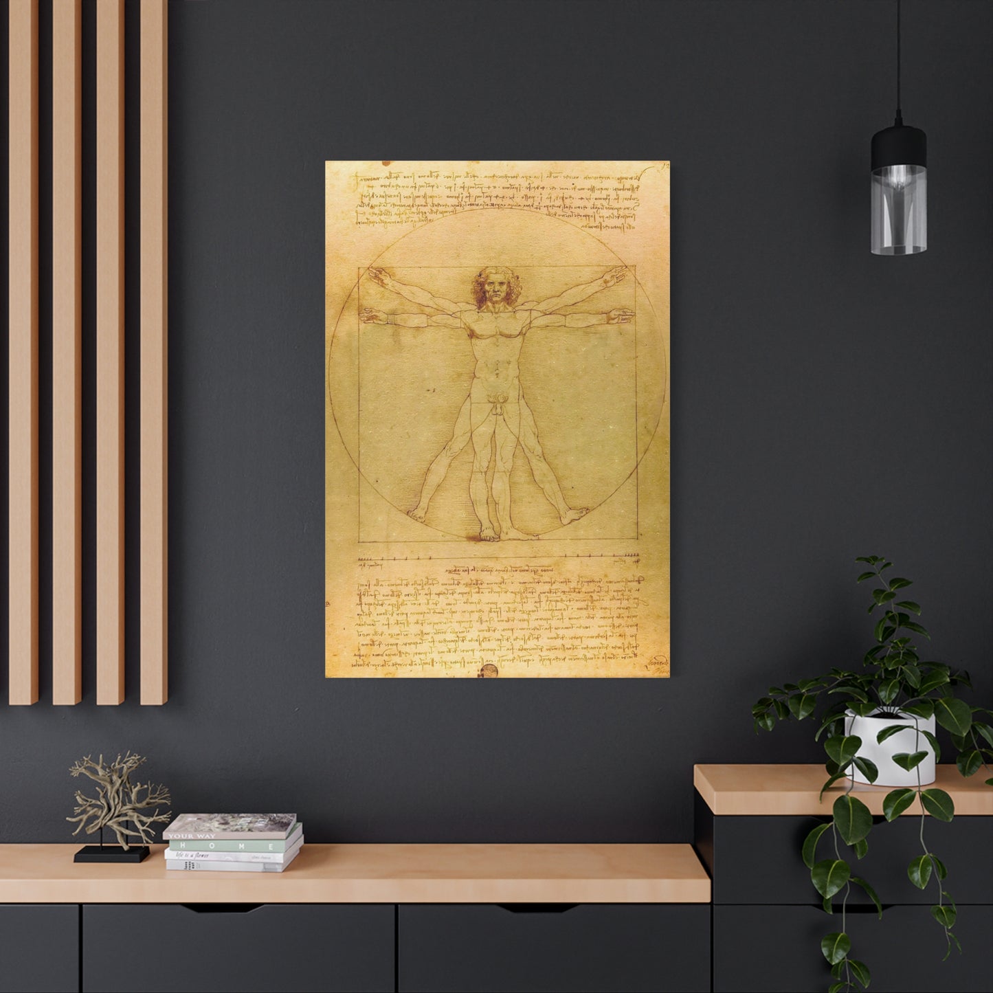 Vitruvian Man By Leonardo da Vinci