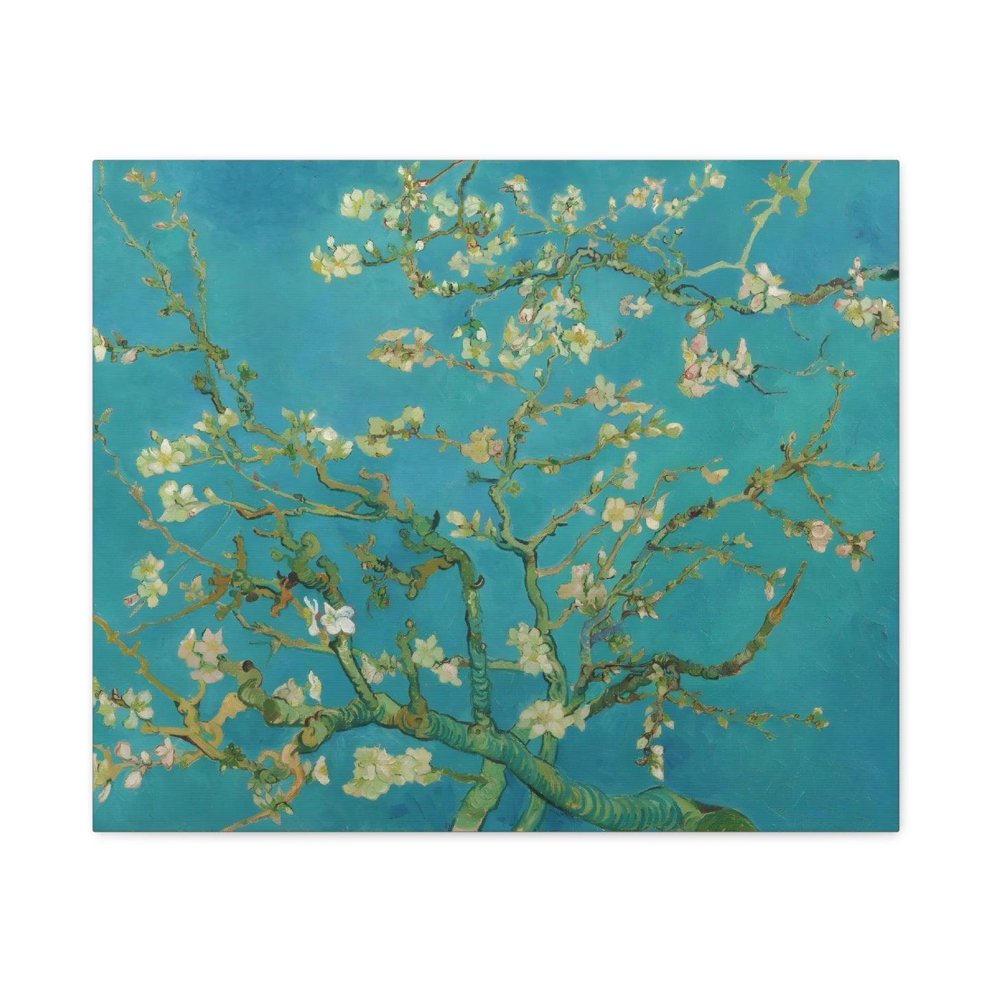 Almond Blossoms By Vincent van Gogh