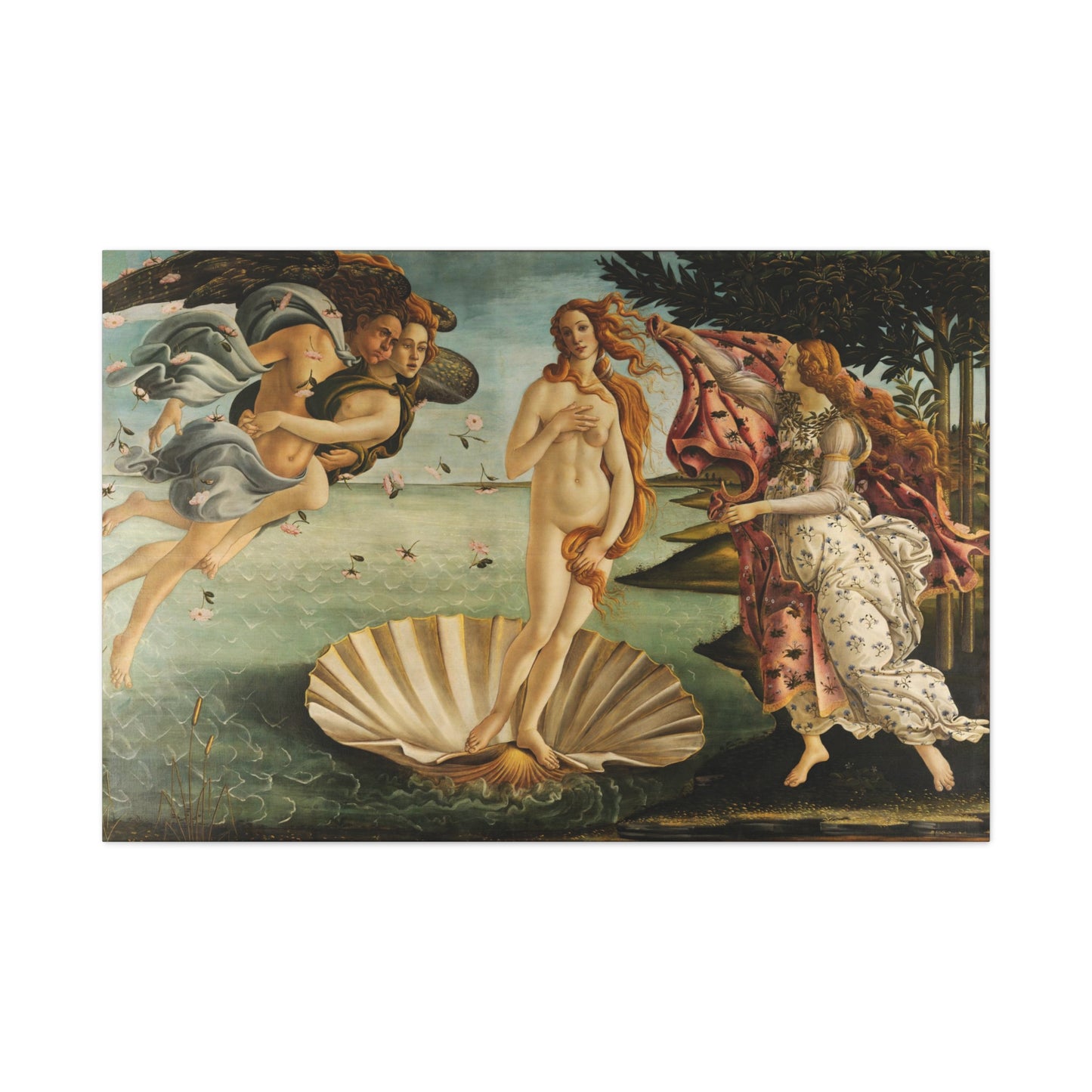 The Birth of Venus By Sandro Botticelli