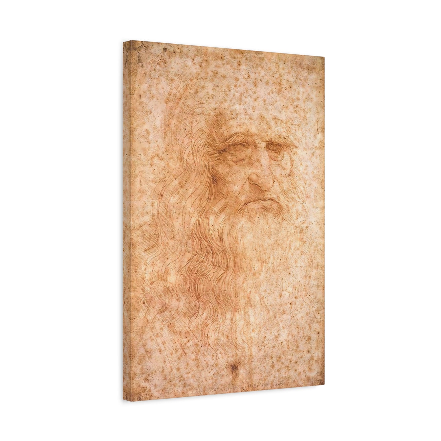 Man in Red Chalk By Leonardo da Vinci