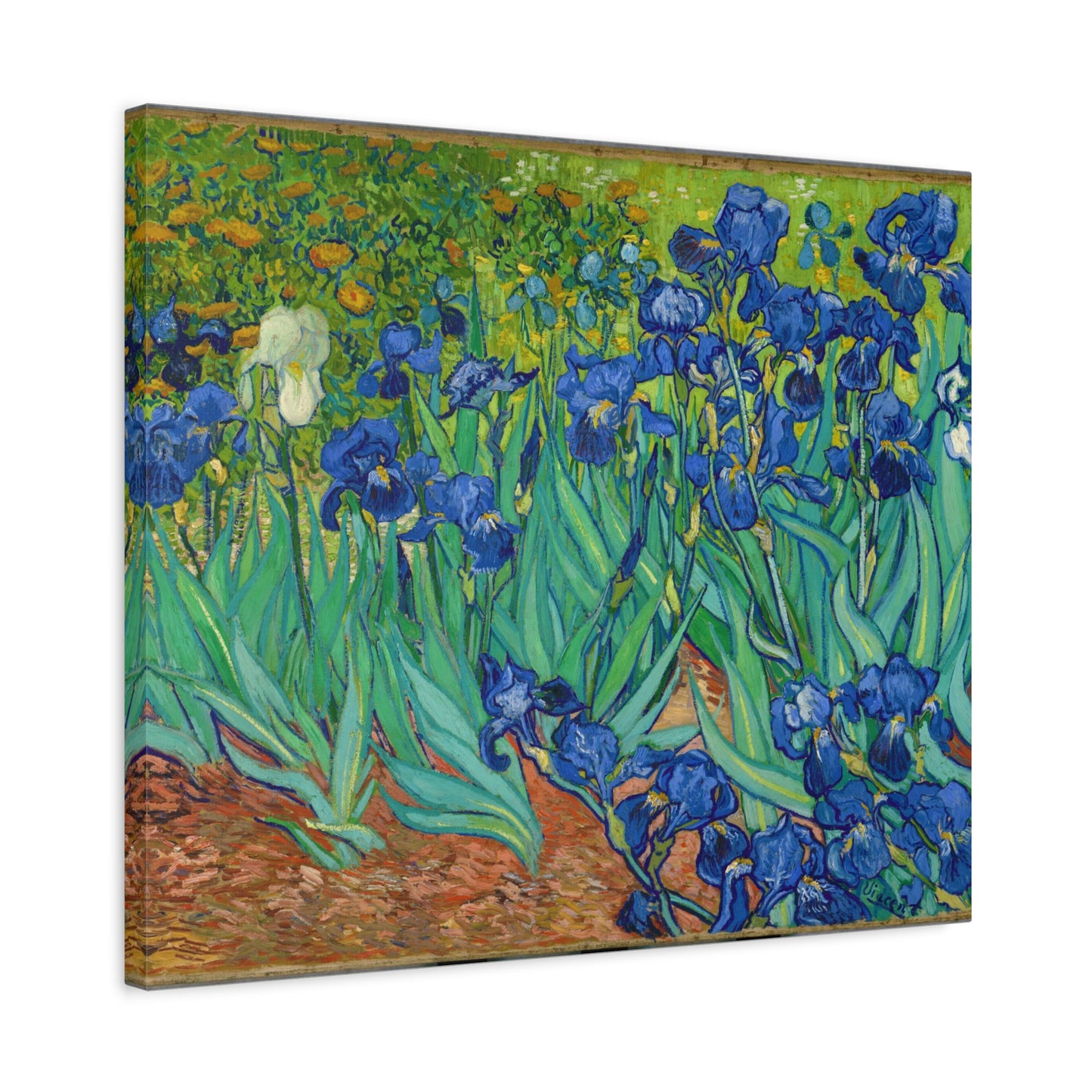 Irises By Vincent van Gogh