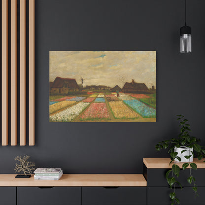 Bulb Fields By Vincent van Gogh