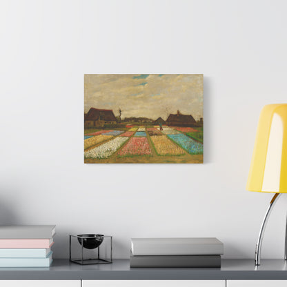 Bulb Fields By Vincent van Gogh