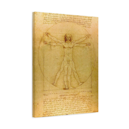 Vitruvian Man By Leonardo da Vinci