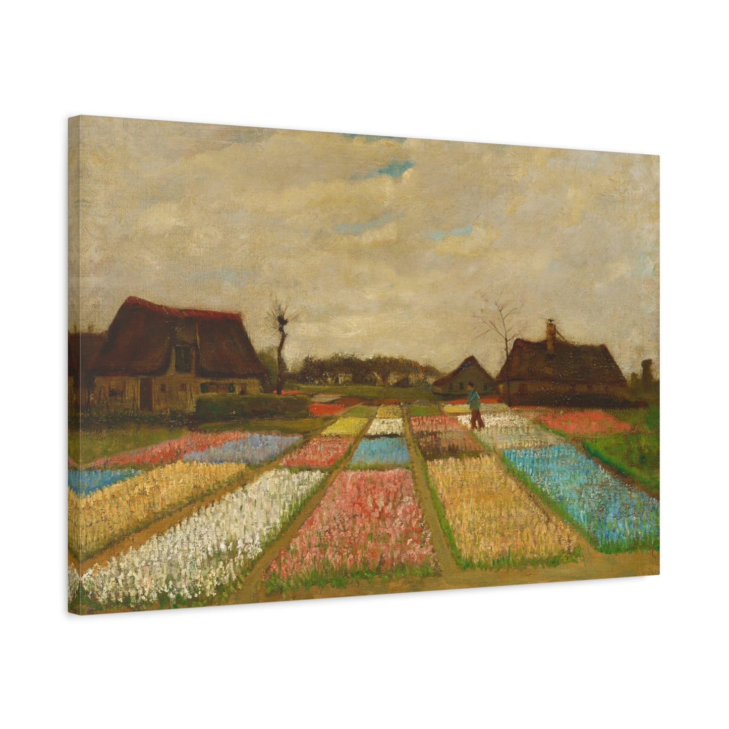 Bulb Fields By Vincent van Gogh