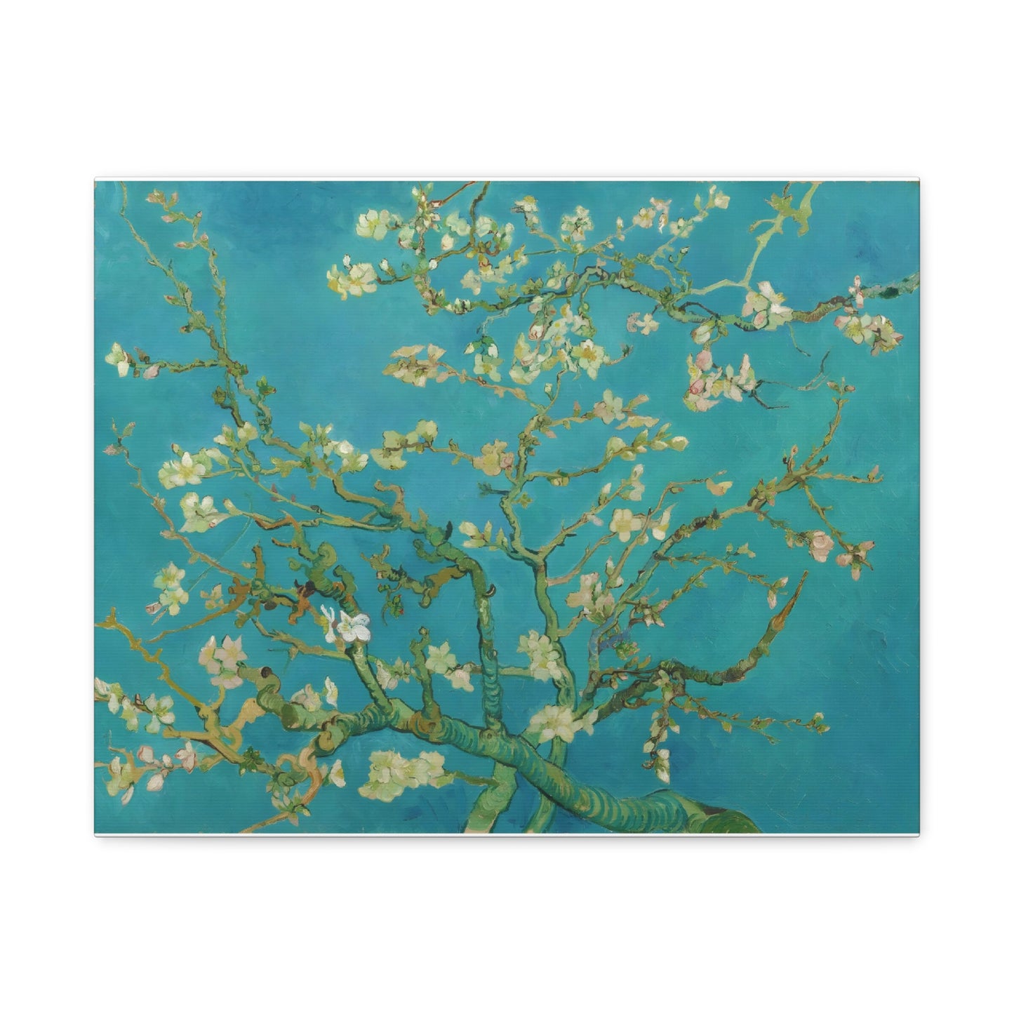 Almond Blossoms By Vincent van Gogh