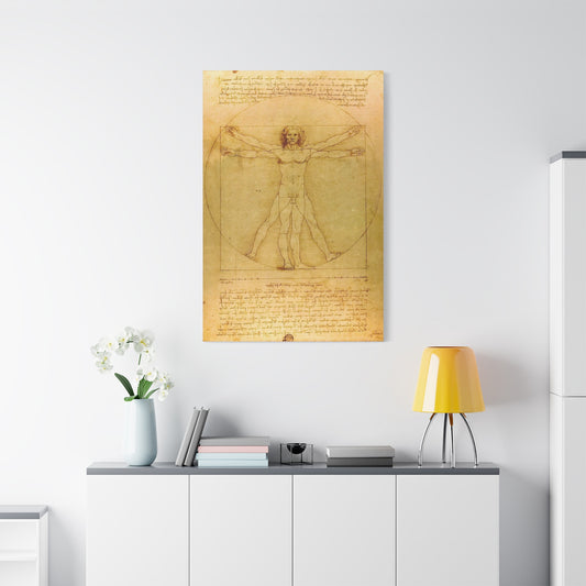 Vitruvian Man By Leonardo da Vinci