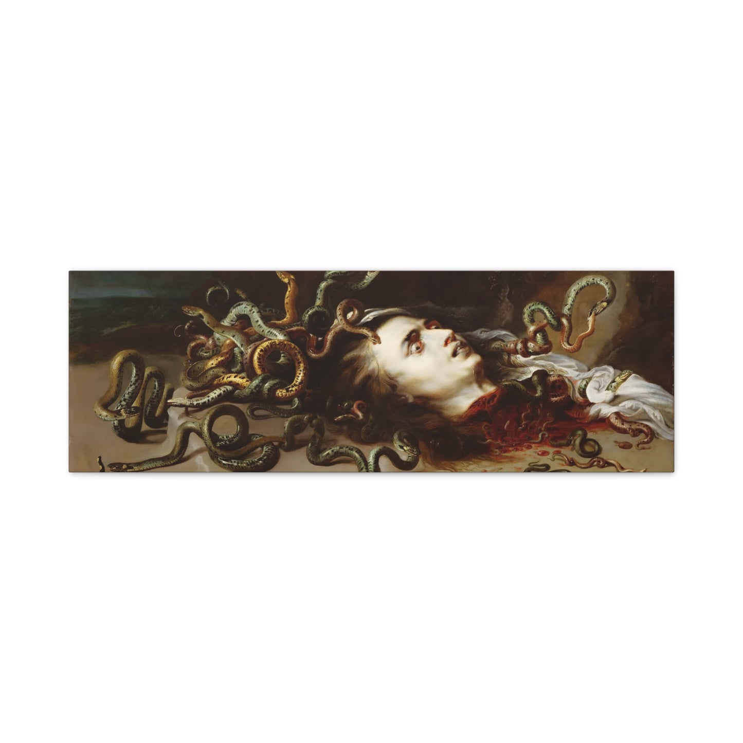 Medusa By Peter Paul Rubens